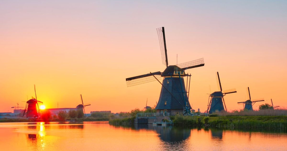 przewozy busami do holandii